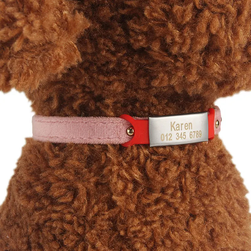 Silicone Engrav Pet ID Accessories Customize Dog Nameplate Name Phone Engraved Dog Collar Personalized Puppy Cat Pet Supplies