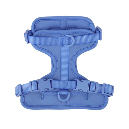 Breathable Lightweight Dog Harness Adjustable Pet Chest Strap Outdoor Walk Training Pet Harenss for Small Medium Dog