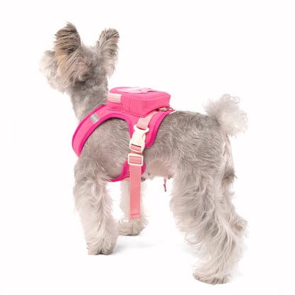 Cute Pet Dog Backpack Outdoor Storage Small Dogs Bag Outdoor Walking Chest Harness
