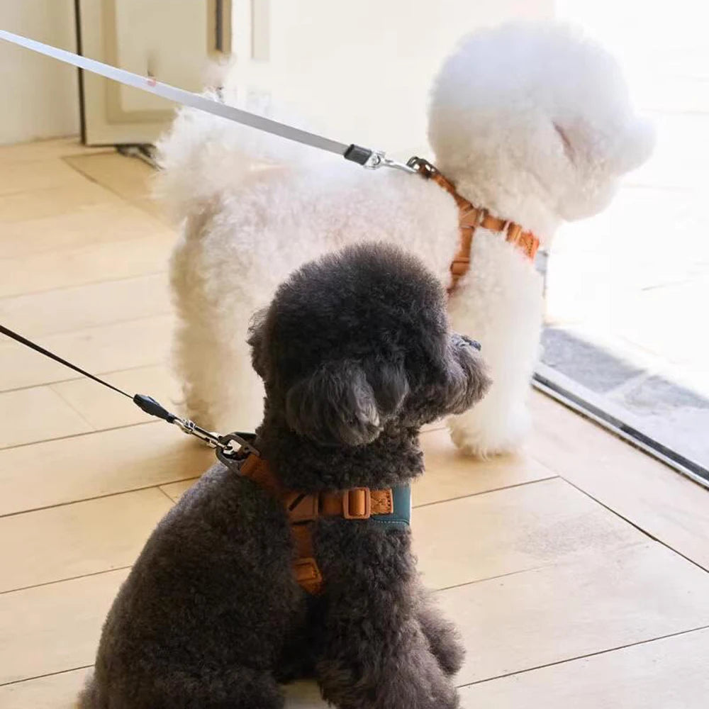 Cute Bear Pet Harness Leash Set Dog Vest Harness Strap Adjustable Breathable Harness for Puppy Cat Dog Supplies