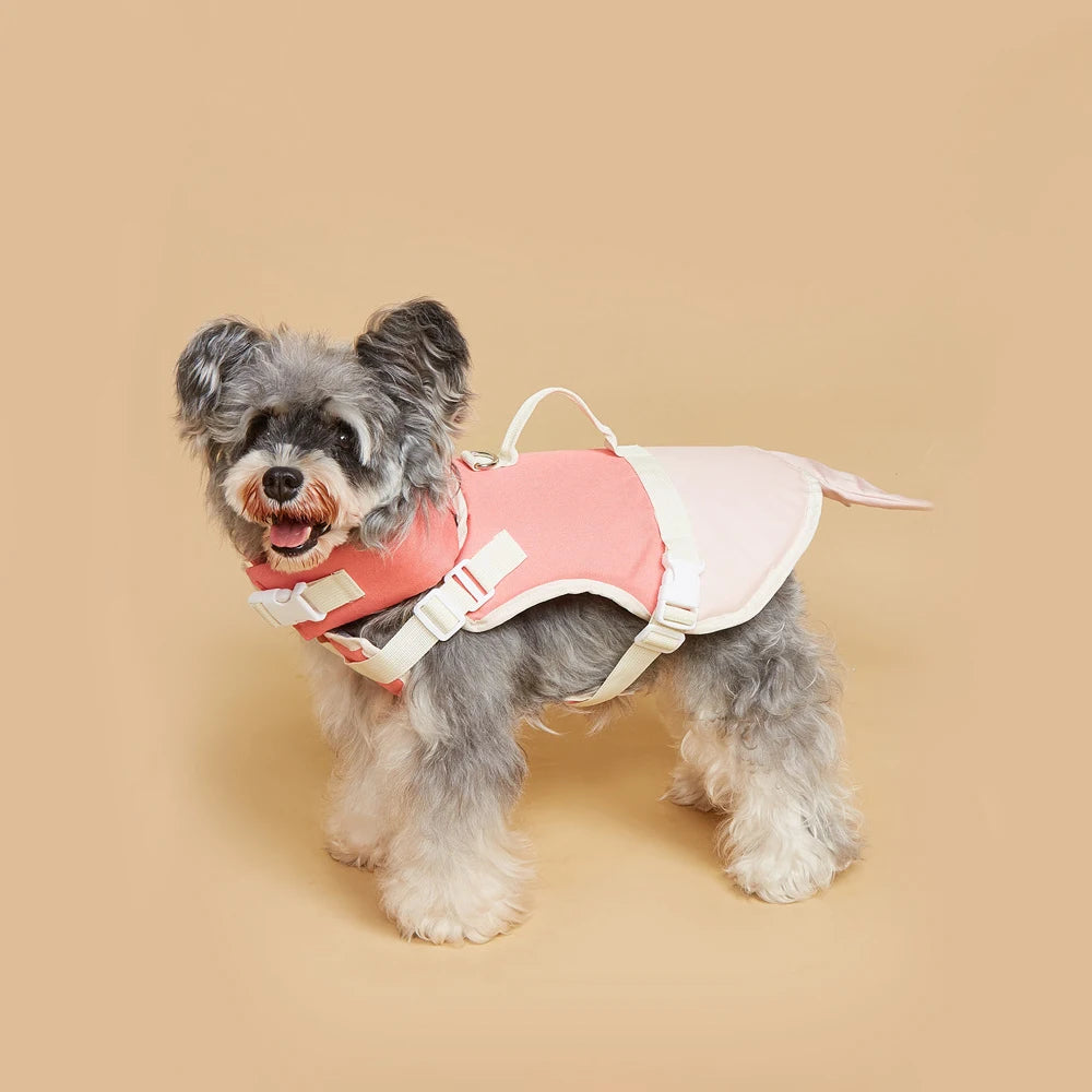 Cartoon Summer Swim Dog Life Jacket Adjustable Pet Body Swimming Pet Vest