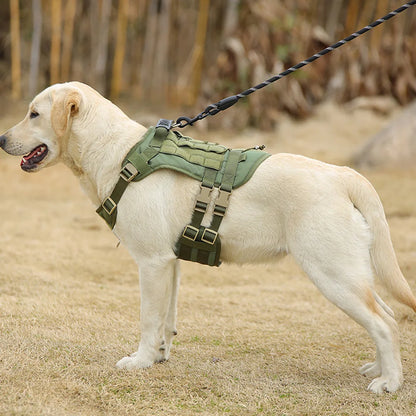 Custom Dog Harness Personalized Tactical Vest DIY Name Pet Harness for Medium Large Big Dog Chest Strap