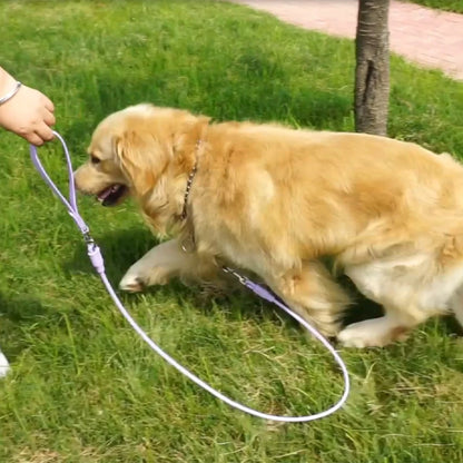 Pet Round Rope PVC Waterproof Dog Leash Traction Lead Small Medium Dogs Leashes