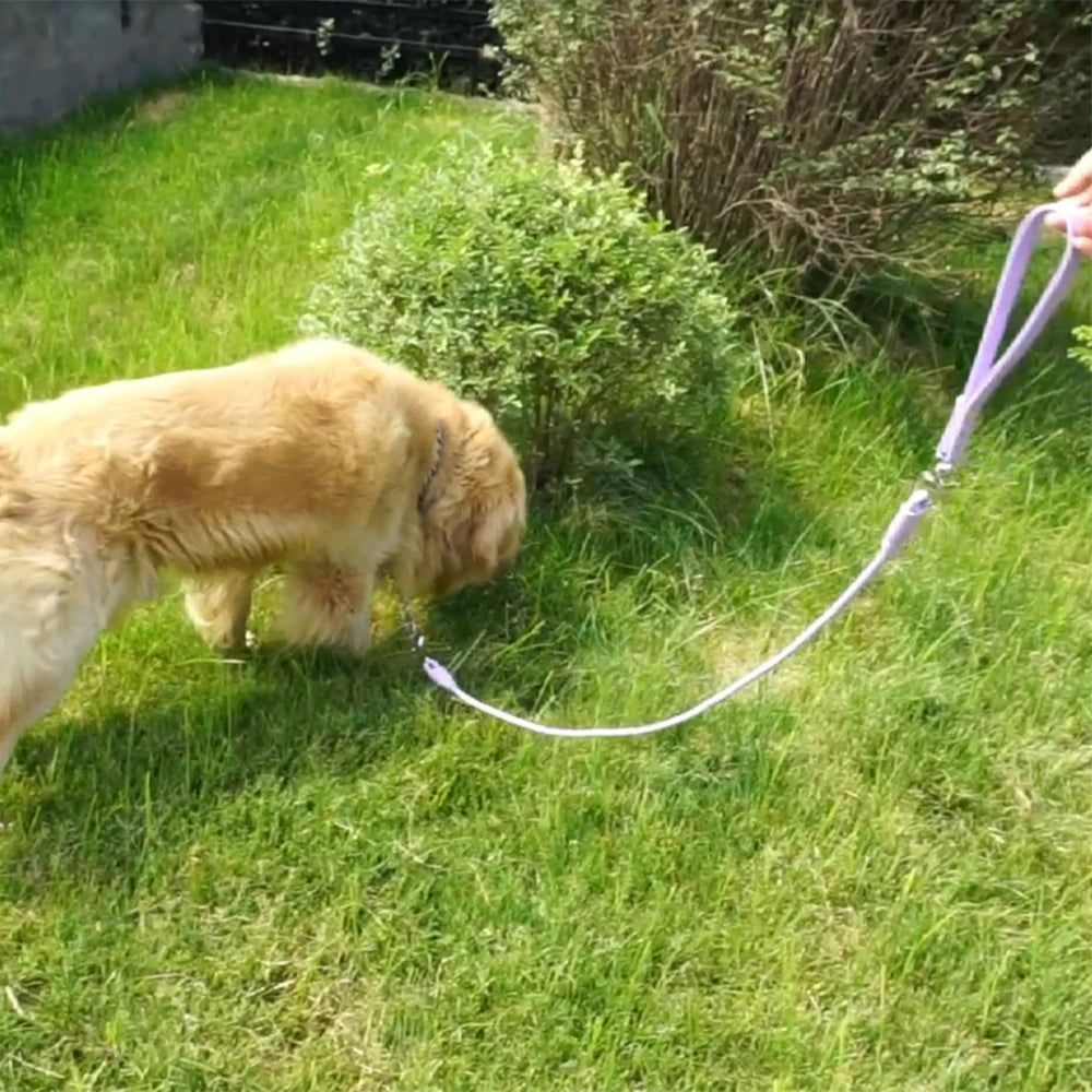 Pet Round Rope PVC Waterproof Dog Leash Traction Lead Small Medium Dogs Leashes