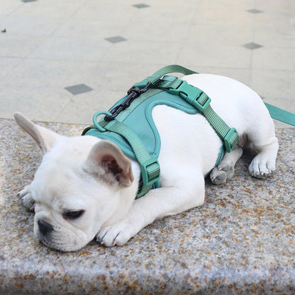 Breathable Lightweight Dog Harness Adjustable Pet Chest Strap Outdoor Walk Training Pet Harenss for Small Medium Dog