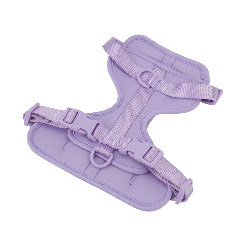Breathable Lightweight Dog Harness Adjustable Pet Chest Strap Outdoor Walk Training Pet Harenss for Small Medium Dog