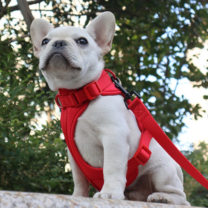 Breathable Lightweight Dog Harness Adjustable Pet Chest Strap Outdoor Walk Training Pet Harenss for Small Medium Dog