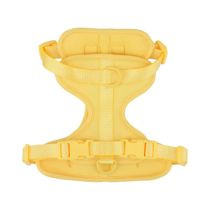 Breathable Lightweight Dog Harness Adjustable Pet Chest Strap Outdoor Walk Training Pet Harenss for Small Medium Dog