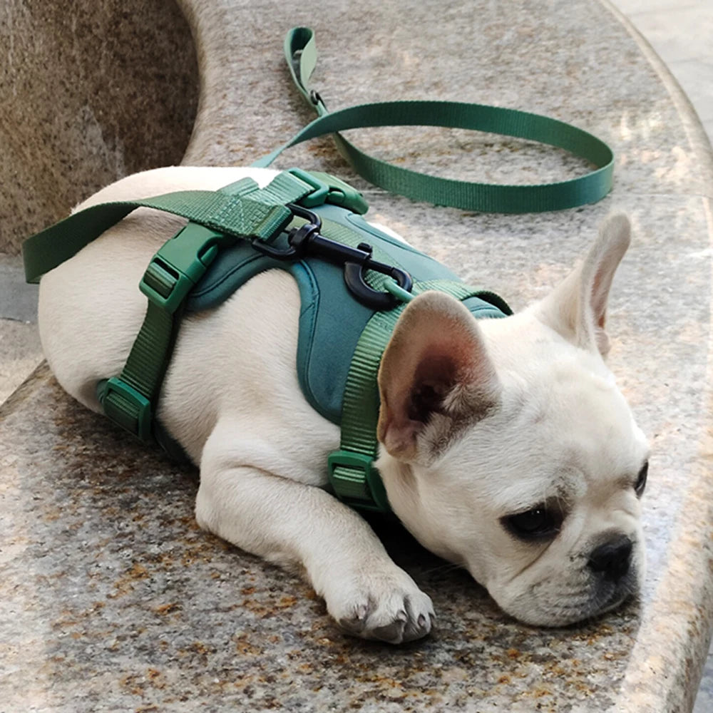 Breathable Lightweight Dog Harness Adjustable Pet Chest Strap Outdoor Walk Training Pet Harenss for Small Medium Dog