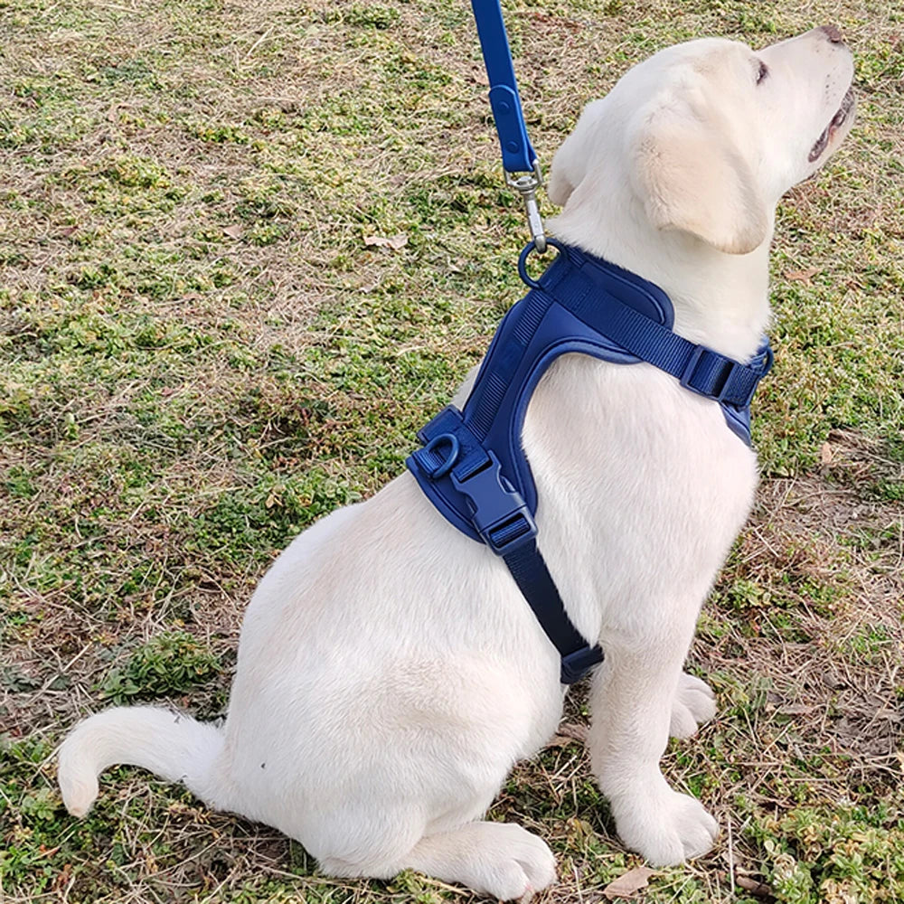Breathable Lightweight Dog Harness Adjustable Pet Chest Strap Outdoor Walk Training Pet Harenss for Small Medium Dog