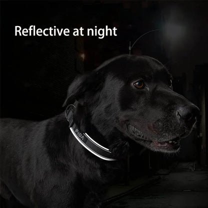 Large Dog Collar Pet Reflective Adjustable Collar for Medium Big Dogs Outdoor Walking Training Supplies