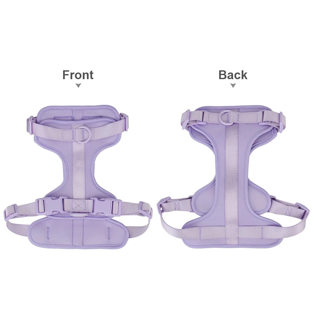 Breathable Lightweight Dog Harness Adjustable Pet Chest Strap Outdoor Walk Training Pet Harenss for Small Medium Dog