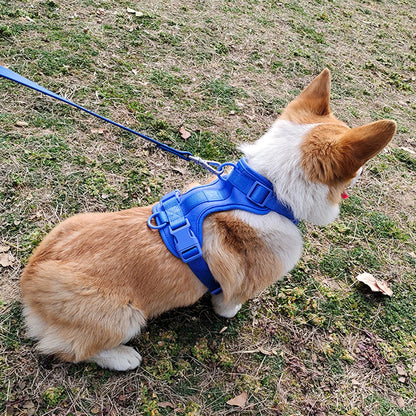 Breathable Lightweight Dog Harness Adjustable Pet Chest Strap Outdoor Walk Training Pet Harenss for Small Medium Dog