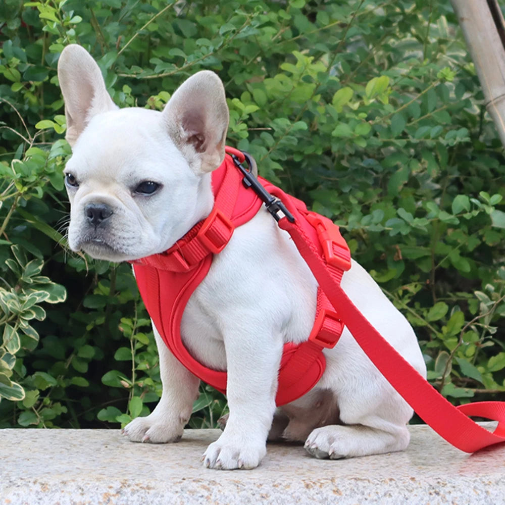 Breathable Lightweight Dog Harness Adjustable Pet Chest Strap Outdoor Walk Training Pet Harenss for Small Medium Dog