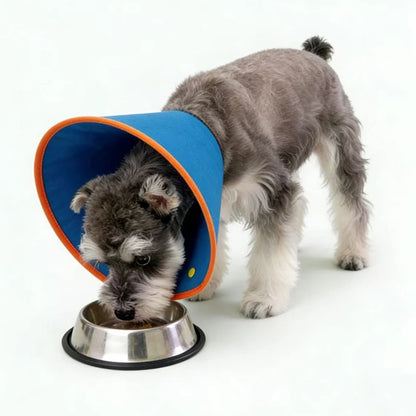 Cat Cone Collar Lightweight Anti-bite Collars Easy To Eat Drink Anti Scratch