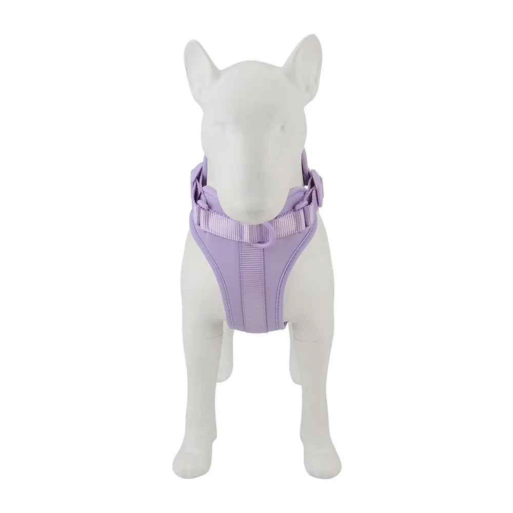 Breathable Lightweight Dog Harness Adjustable Pet Chest Strap Outdoor Walk Training Pet Harenss for Small Medium Dog