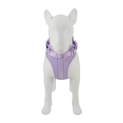 Breathable Lightweight Dog Harness Adjustable Pet Chest Strap Outdoor Walk Training Pet Harenss for Small Medium Dog