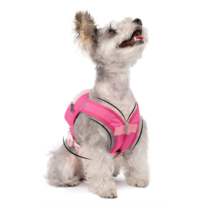 Cute Pet Dog Backpack Outdoor Storage Small Dogs Bag Outdoor Walking Chest Harness