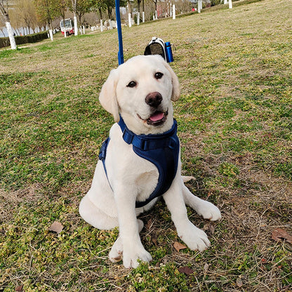 Breathable Lightweight Dog Harness Adjustable Pet Chest Strap Outdoor Walk Training Pet Harenss for Small Medium Dog